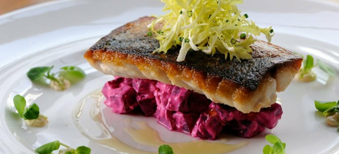 Pan fried Sea Bream with Beetroot Jelly, Fennel Salad and Great Ness Orange Zest Rapeseed Oil Vinaigrette