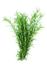 rosemary.jpg