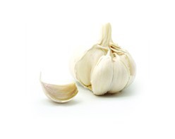 small_garlic.jpg